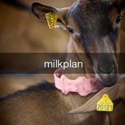 milkplan